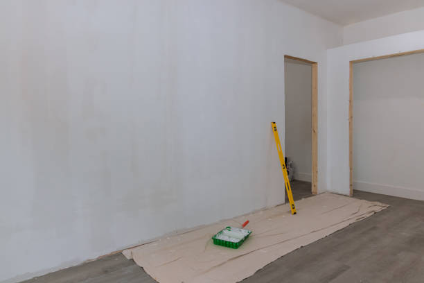 Best Basement Mold Removal  in Sesser, IL