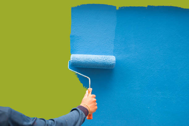 Trusted Sesser, IL Mold Removal Experts