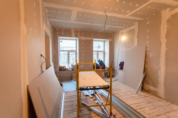 Best Black Mold Removal  in Sesser, IL